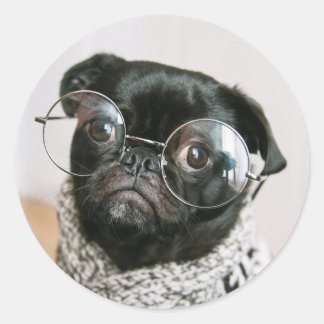 Cute Black Pug med Glass Hund Photo Runt Klistermärke
