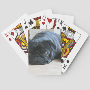 Cute Black Pug Sleeping Spel Kort