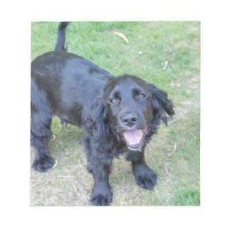 Cute Black Puppy Anteckningsblock