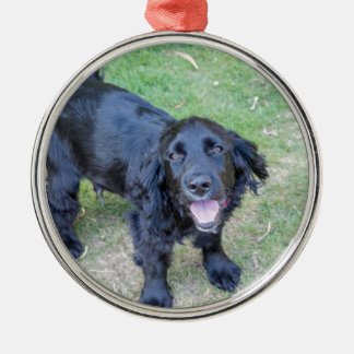 Cute Black Puppy Julgransprydnad Metall