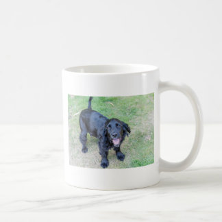 Cute Black Puppy Kaffemugg