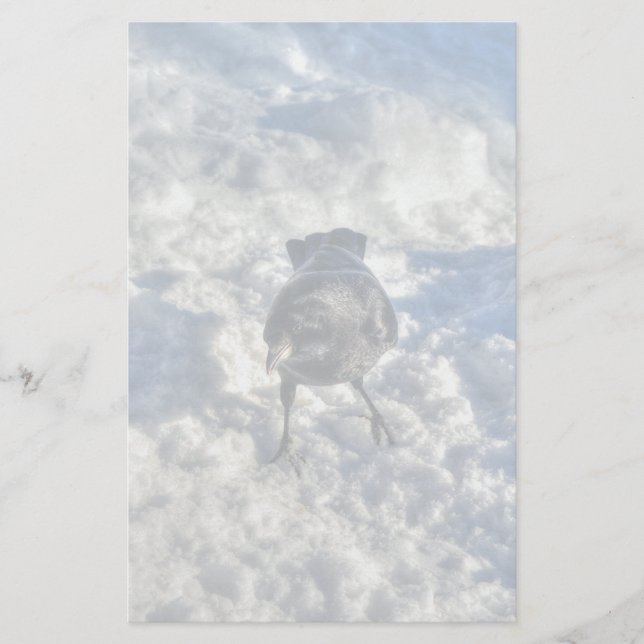 Cute Black Raven i Snö Photo Brevpapper (Framsida)