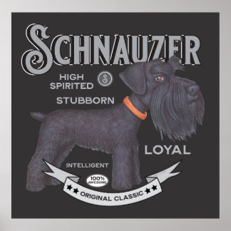 Cute Black Schnauzer Poster