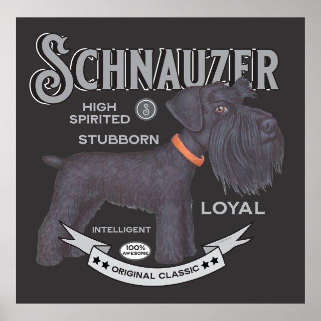 Cute Black Schnauzer Poster (Framsidan)