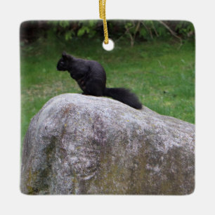 Cute Black Squirrel på en Sten-naturekorrar Julgransprydnad Keramik