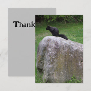 Cute Black Squirrel på en Sten-naturekorrar Tack Kort