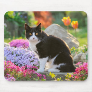 Cute Black White Cat i ett färgat blomsterkläder Musmatta