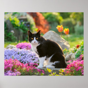 Cute Black White Cat i ett färgat blomsterkläder Poster