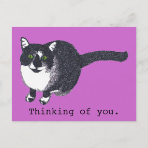 Cute Black White Cat i pointillism Postcards Vykort