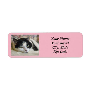 Cute Black White Cat Photo Rosa Returadress Etikett