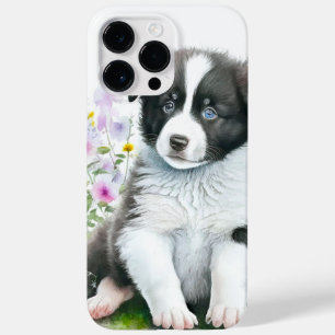 CUTE BLACK & WHITE GRÄNS COLLIE PUPPY HUND
