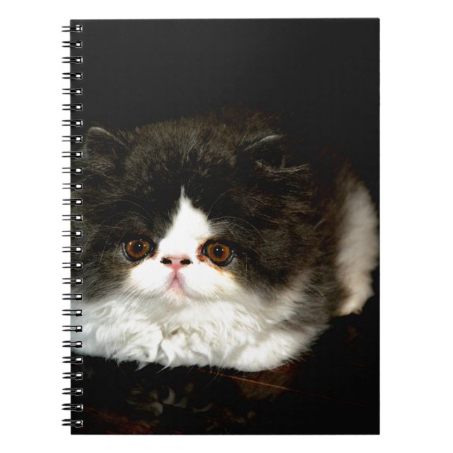 Cute Black white kitten cat Anteckningsbok Med Spiral (Framsidan)