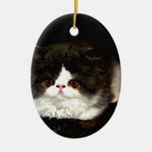 Cute Black white kitten cat Julgransprydnad Keramik