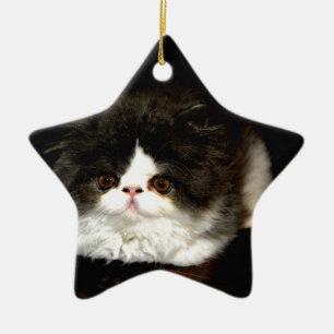 Cute Black white kitten cat Julgransprydnad Keramik