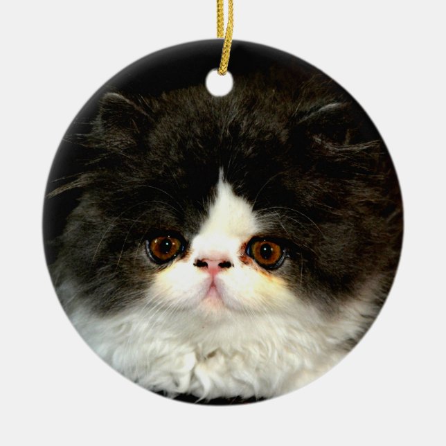 Cute Black white kitten cat Julgransprydnad Keramik (Framsidan)