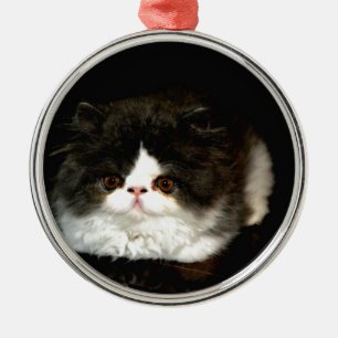 Cute Black white kitten cat Julgransprydnad Metall