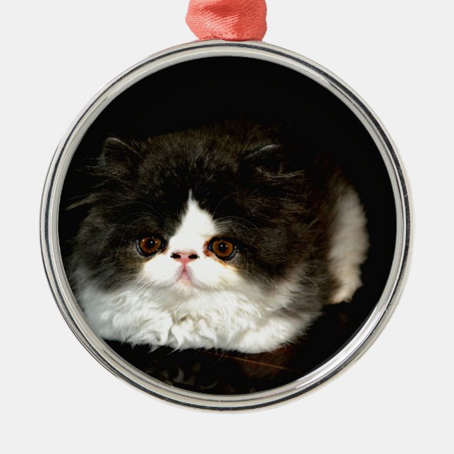 Cute Black white kitten cat Julgransprydnad Metall (Framsidan)