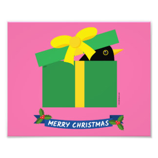 Cute Blackbird-sökning ut ur en giftbox Fototryck