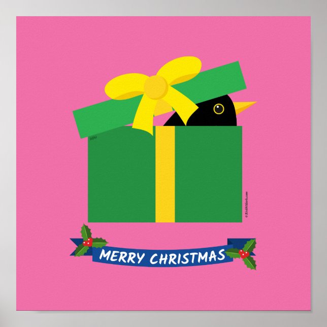 Cute Blackbird-sökning ut ur en giftbox Poster (Framsidan)