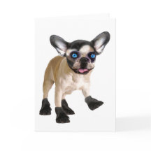 Cute Blank Inside Card