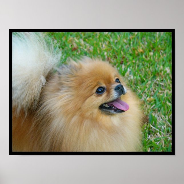 Cute blonde poster (Framsidan)