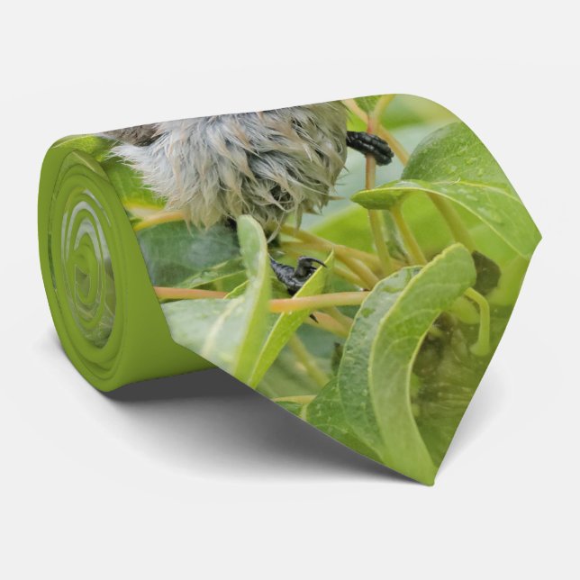 Cute Blöt Wee Bushtit på Laurel Slips (Rullad)