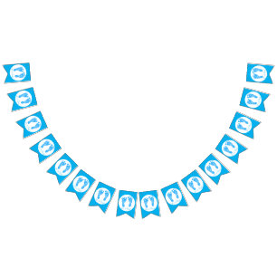 Cute Blue Baby Footprint its a Boy Baby Shower Vimplar