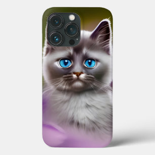 Cute Blue Eyed Kitten