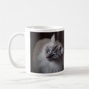 Cute Blue Eyed Ragdoll cat Mugg