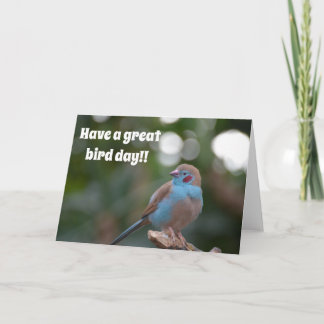 Cute blue finval-födelsedag kort