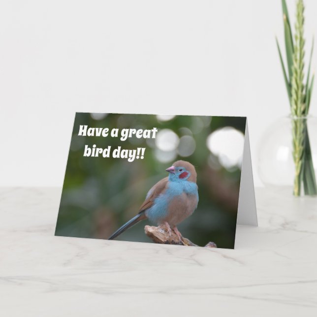 Cute blue finval-födelsedag kort (Framsida)