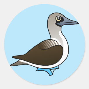 Cute Blue-Footed Booby Runt Klistermärke
