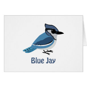 Cute Blue Jay OBS Kort
