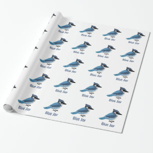 Cute Blue Jay Presentpapper