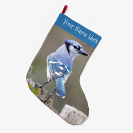 Cute Blue Jay Songbird på Stump i Träd Stor Julstrumpa