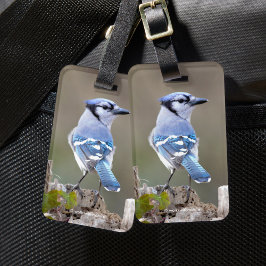 Cute Blue Jay Songbird på Treestump Bagagebricka