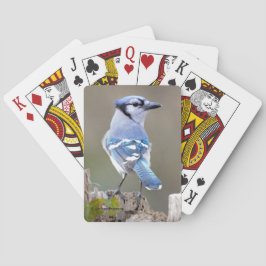 Cute Blue Jay Songbird på Treestump Casinokort