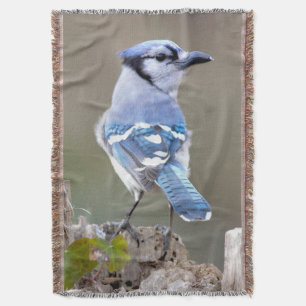 Cute Blue Jay Songbird på Treestump Filt