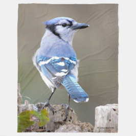 Cute Blue Jay Songbird på Treestump Fleecefilt