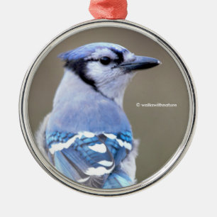 Cute Blue Jay Songbird på Treestump Julgransprydnad Metall
