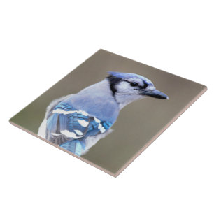 Cute Blue Jay Songbird på Treestump Kakelplatta