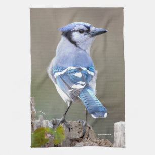 Cute Blue Jay Songbird på Treestump Kökshandduk