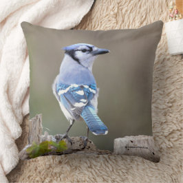 Cute Blue Jay Songbird på Treestump Kudde