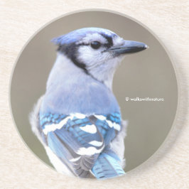 Cute Blue Jay Songbird på Treestump Underlägg