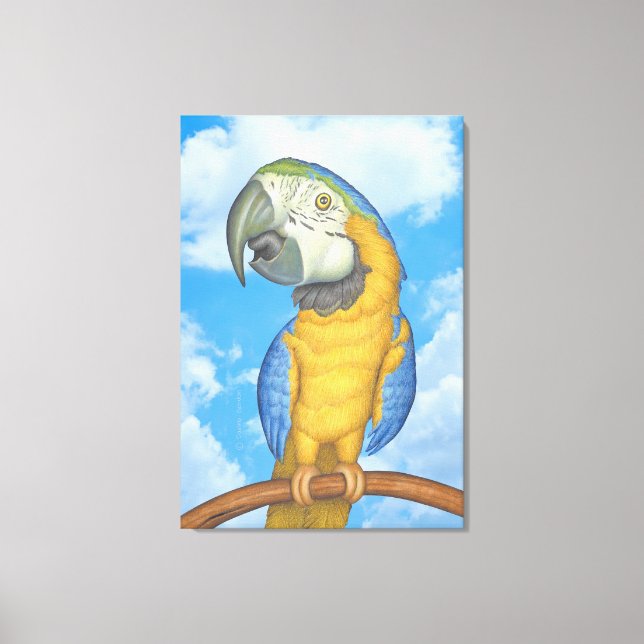 Cute Blue och Guld Macaw Parrot Canvastryck (Framsida)