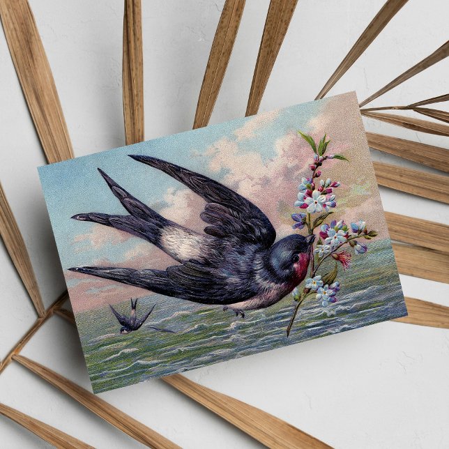 Cute Blue Red Sväljer fåglar och Söt Flowers Vykort (Cute Blue Red Swallow Bird And Pretty Flowers Postcard)
