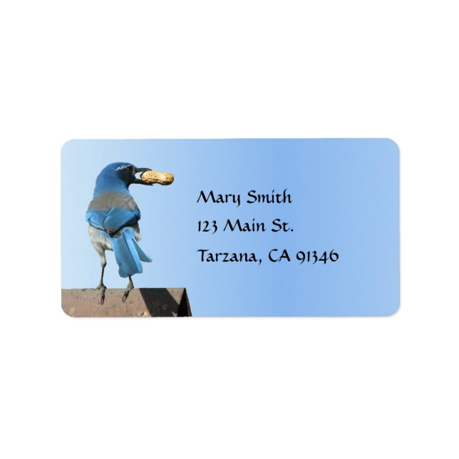 Cute Blue SCrub Jay Bird med peanut-etikett Adressetikett (Framsidan)