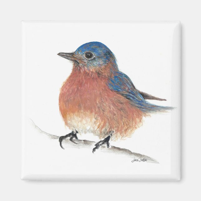 Cute Bluebird Paected Art Magnet (Framsidan)