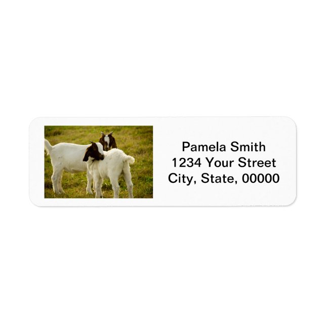 Cute Boer Goats Personalize Returadress Returadress Etikett (Framsidan)