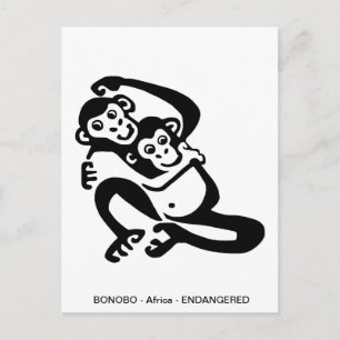 Cute BONOBO-Chimpanzee - Primat - Ape - Vykort
